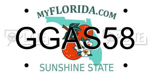 GGAS58 Florida License Plate