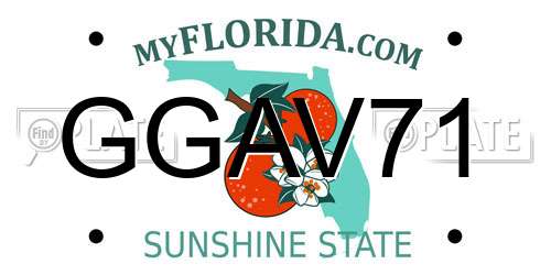 GGAV71 Florida License Plate