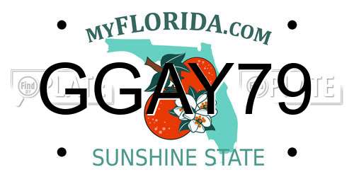 GGAY79 Florida License Plate
