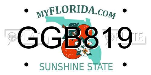 GGB819 Florida License Plate