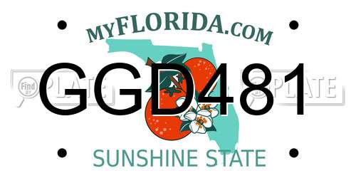 GGD481 Florida License Plate