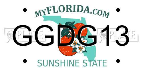 GGDG13 Florida License Plate