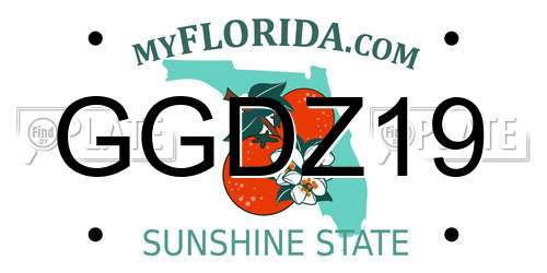 GGDZ19 Florida License Plate