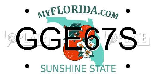 GGE67S Florida License Plate