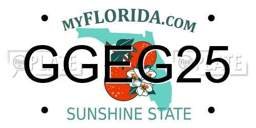 GGEG25 Florida License Plate