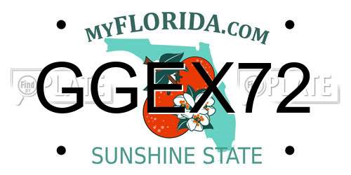 GGEX72 Florida License Plate