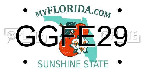 GGFE29 Florida License Plate