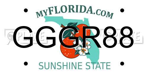GGGR88 Florida License Plate