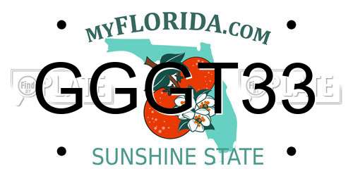 GGGT33 Florida License Plate
