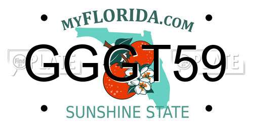 GGGT59 Florida License Plate