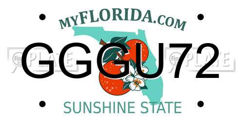 GGGU72 Florida License Plate