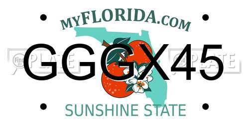 GGGX45 Florida License Plate