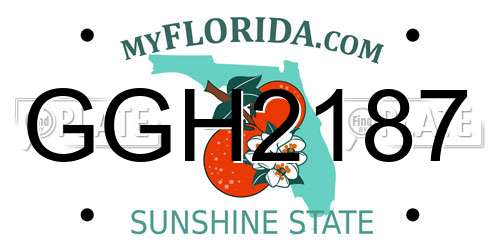 GGH2187 Florida License Plate