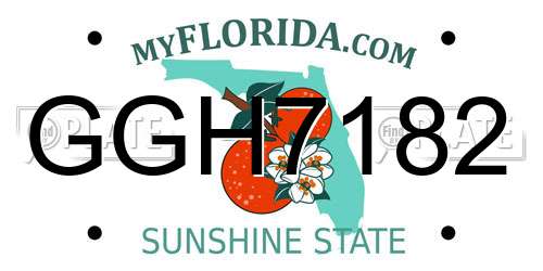 GGH7182 Florida License Plate