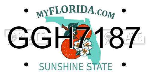 GGH7187 Florida License Plate