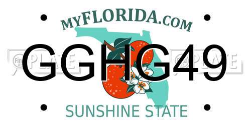 GGHG49 Florida License Plate