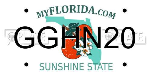 GGHN20 Florida License Plate