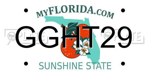 GGHT29 Florida License Plate