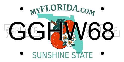 GGHW68 Florida License Plate