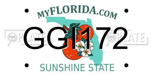 GGI172 Florida License Plate