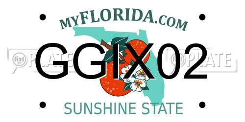 GGIX02 Florida License Plate