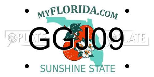 GGJ09 Florida License Plate