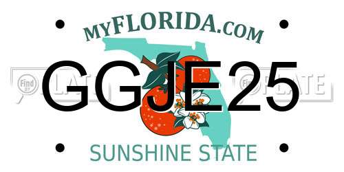 GGJE25 Florida License Plate