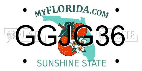 GGJG36 Florida License Plate