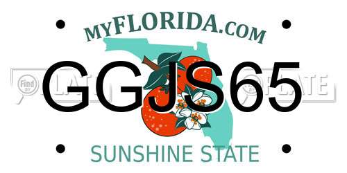 GGJS65 Florida License Plate