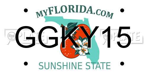 GGKY15 Florida License Plate