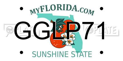 GGLP71 Florida License Plate