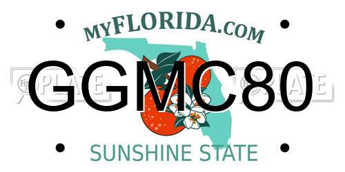 GGMC80 Florida License Plate