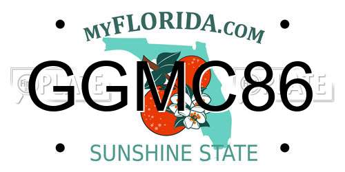 GGMC86 Florida License Plate