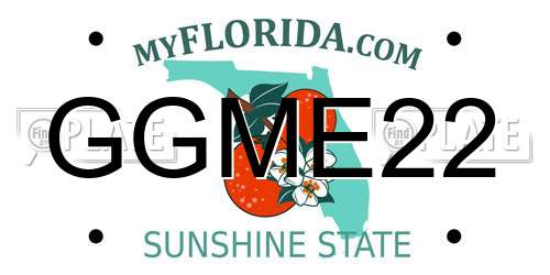 GGME22 Florida License Plate