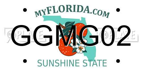 GGMG02 Florida License Plate