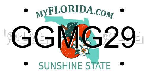 GGMG29 Florida License Plate