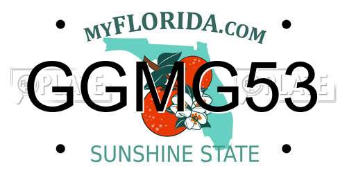 GGMG53 Florida License Plate
