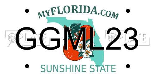 GGML23 Florida License Plate