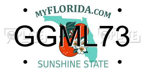GGML73 Florida License Plate