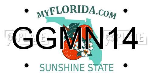 GGMN14 Florida License Plate