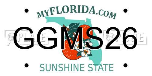GGMS26 Florida License Plate