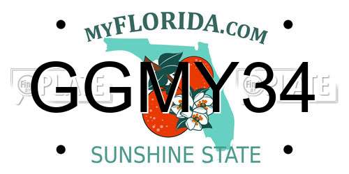 GGMY34 Florida License Plate