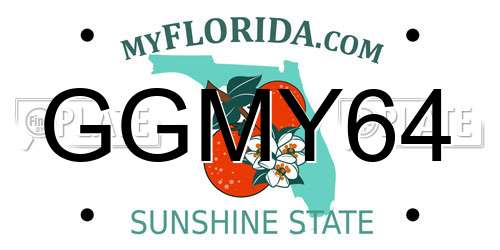 GGMY64 Florida License Plate