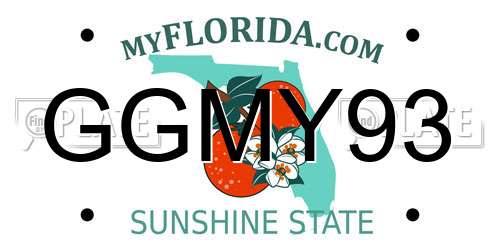 GGMY93 Florida License Plate