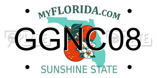 GGNC08 Florida License Plate