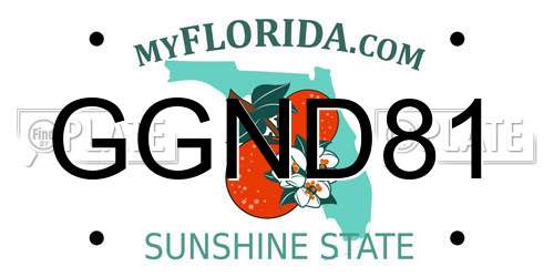 GGND81 Florida License Plate