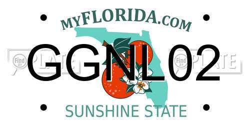 GGNL02 Florida License Plate