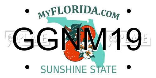 GGNM19 Florida License Plate