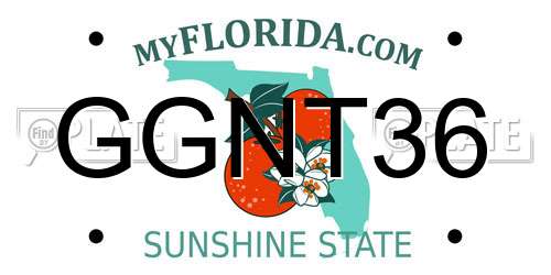 GGNT36 Florida License Plate