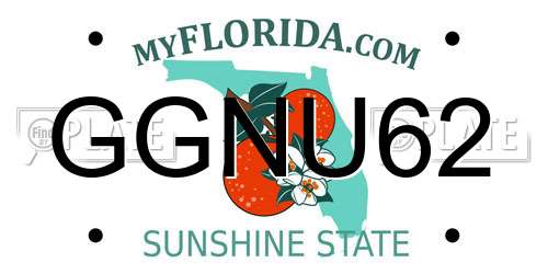 GGNU62 Florida License Plate